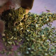 maltas_gars257 maltas_gars257