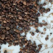 Kardamons02_web-min-1024x1024