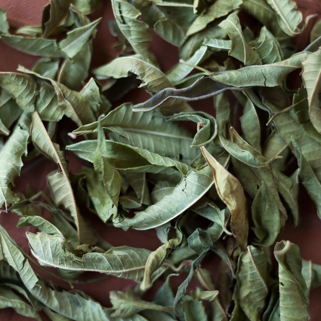 Citronverbēna