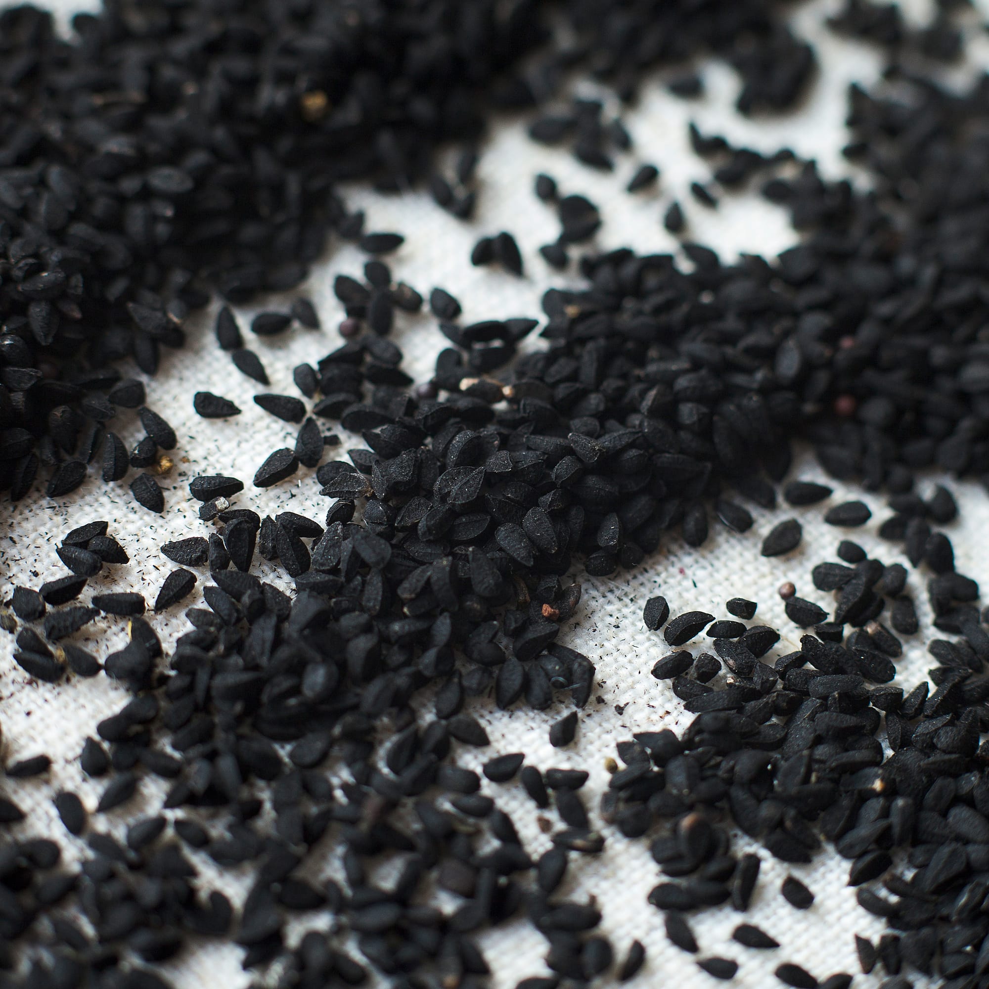Melnās ķimenes (melnsēklītes, nigella) - Image 1