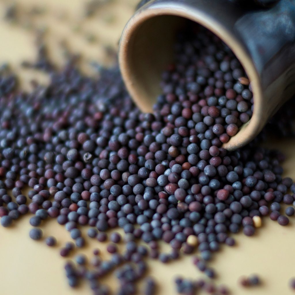 Organic black mustard seeds, 100g